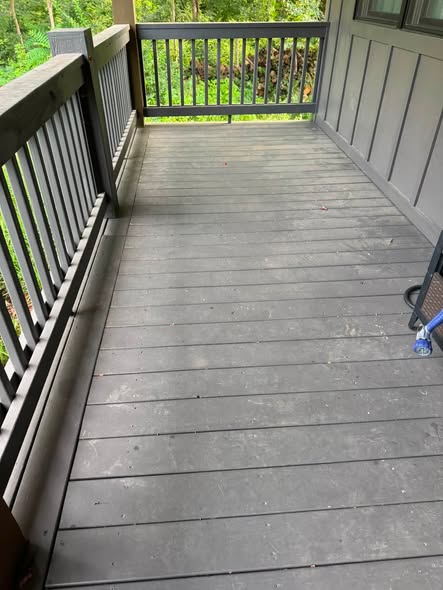 Deck & Fence Cleaning